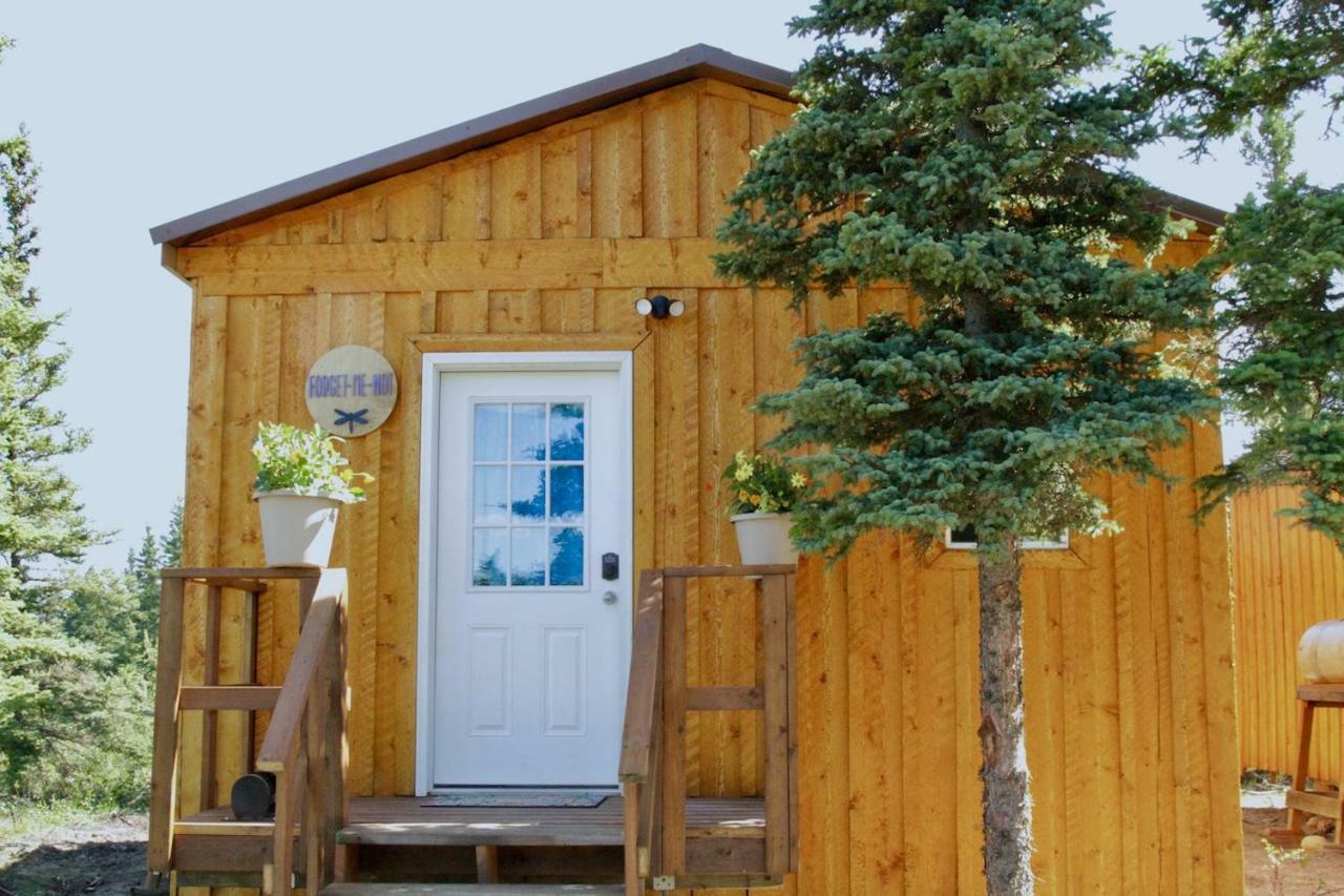 Arctic Dragonfly Inn Healy Extérieur photo