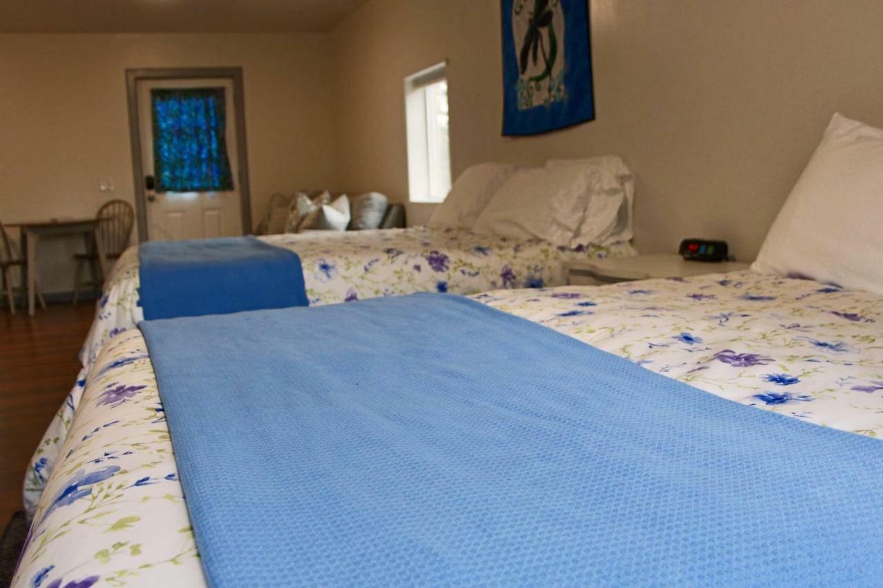 Arctic Dragonfly Inn Healy Extérieur photo